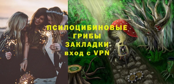 дмт Балахна