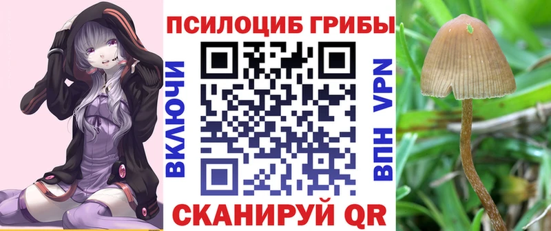 Псилоцибиновые грибы прущие грибы  Купить  Петровск-Забайкальский 